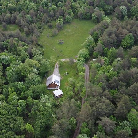 Podklanci-House In The Forest Knezak エクステリア 写真