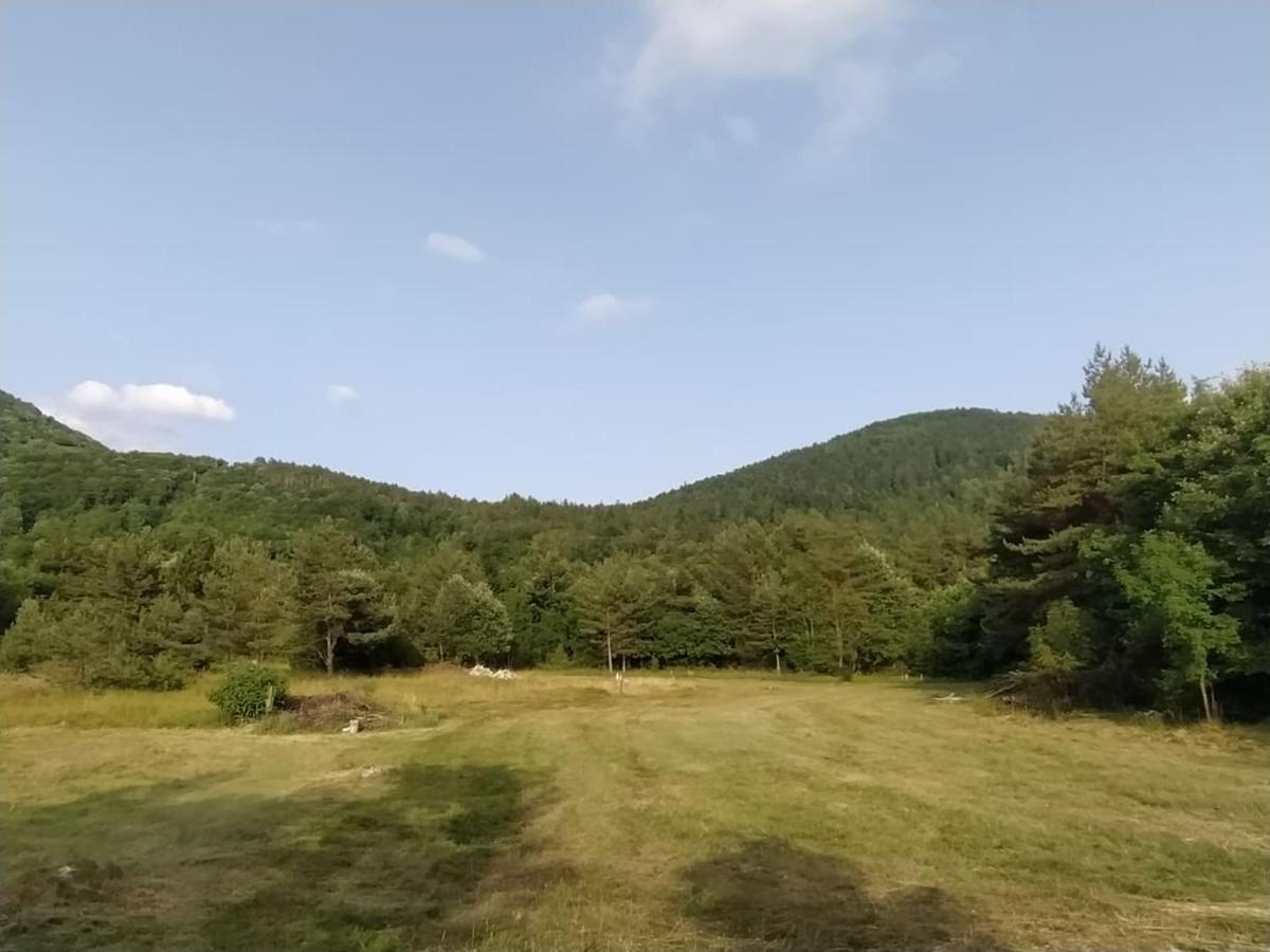 Podklanci-House In The Forest Knezak エクステリア 写真